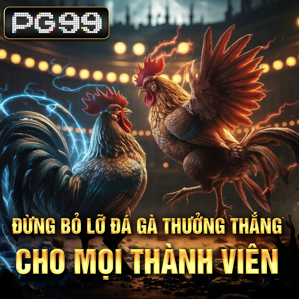 Phân tích trận đấu giải Ngoại hạng Anh tuần này